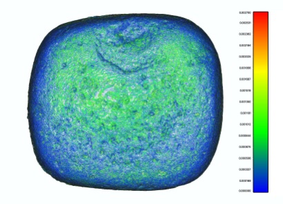 4: Handstone in 3D with analysis of roughness (model H. Höhler-Brockmann, copyright DAI).